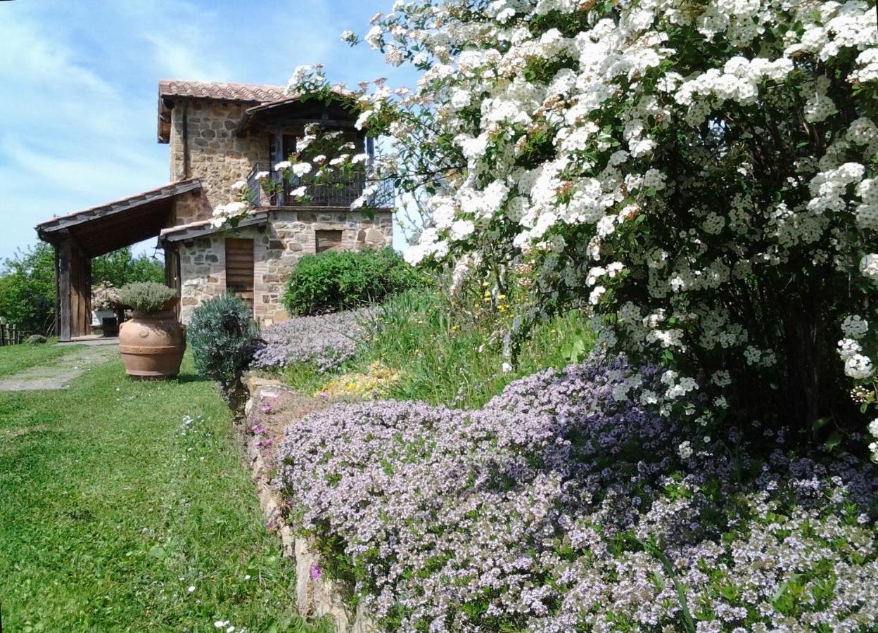 Agriturismo Casa Fibbianello Semproniano Exterior foto