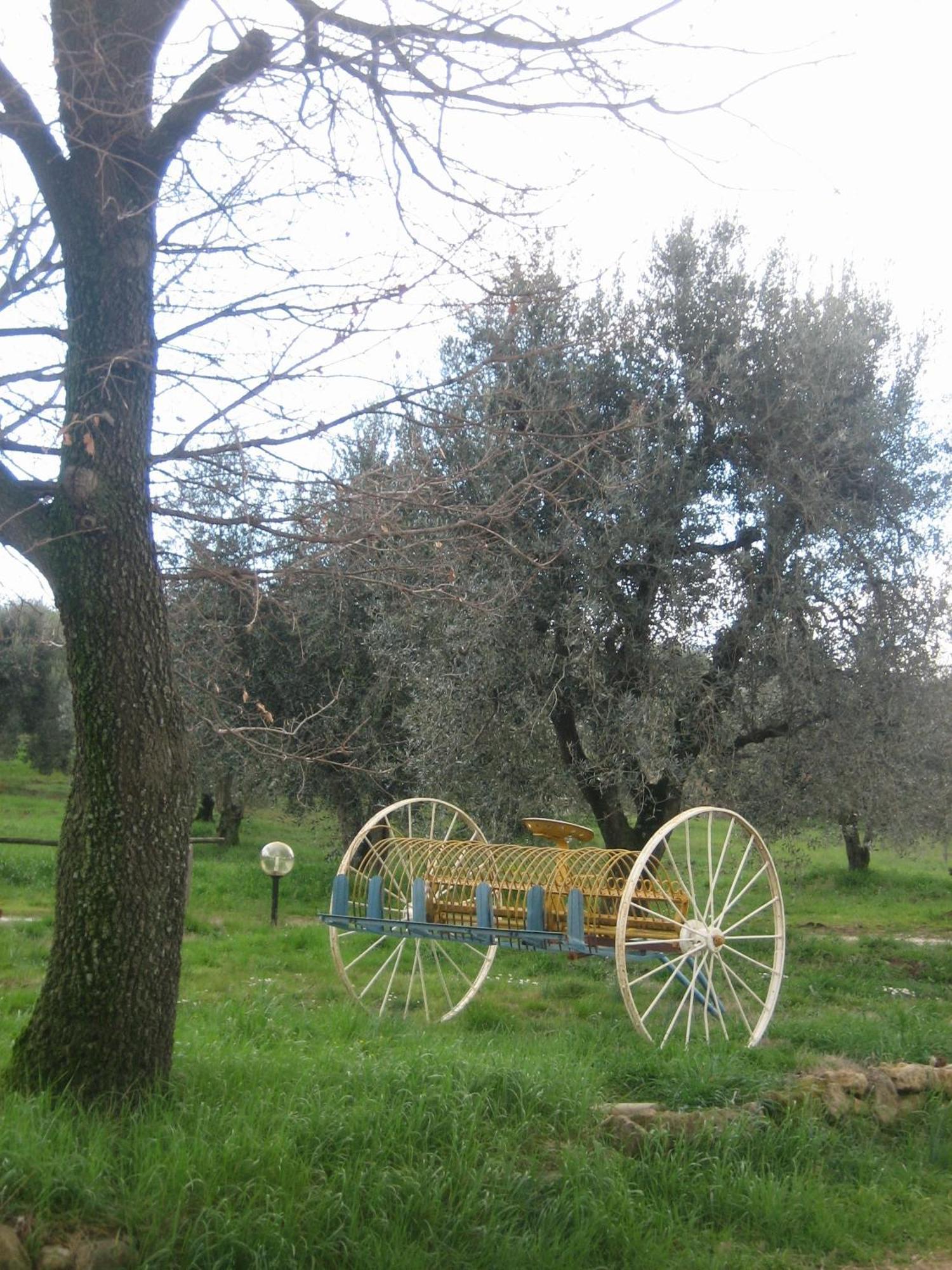 Agriturismo Casa Fibbianello Semproniano Exterior foto