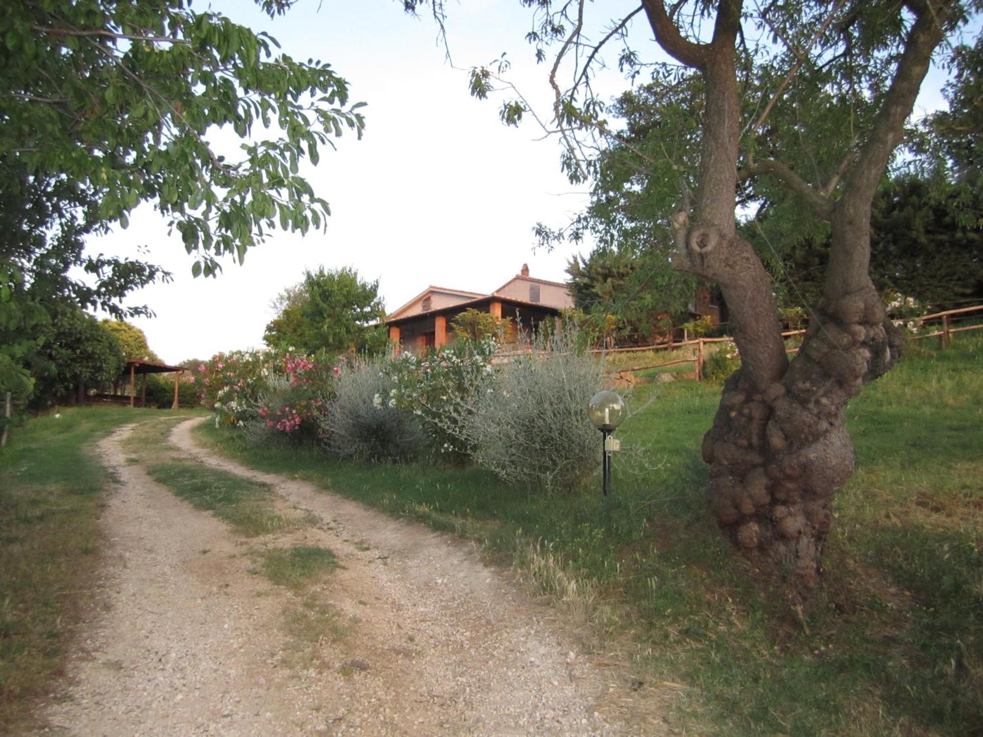 Agriturismo Casa Fibbianello Semproniano Exterior foto