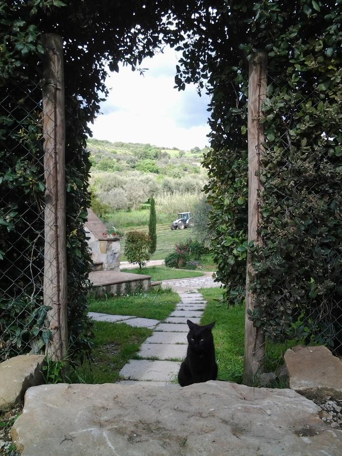 Agriturismo Casa Fibbianello Semproniano Exterior foto